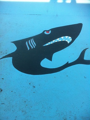 sharkdivingwell